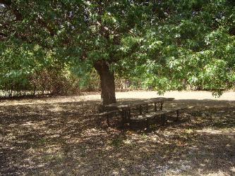 This spacious half acre backyard offers dining outdoors for breakfast and provides plenty of space for outdoor activities and special events.